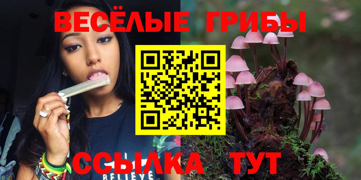 Псилоцибиновые грибы Cubensis Нурлат